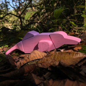RUNA - Delfin Rosado de Rio