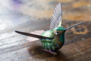 Hand painted wooden colibri